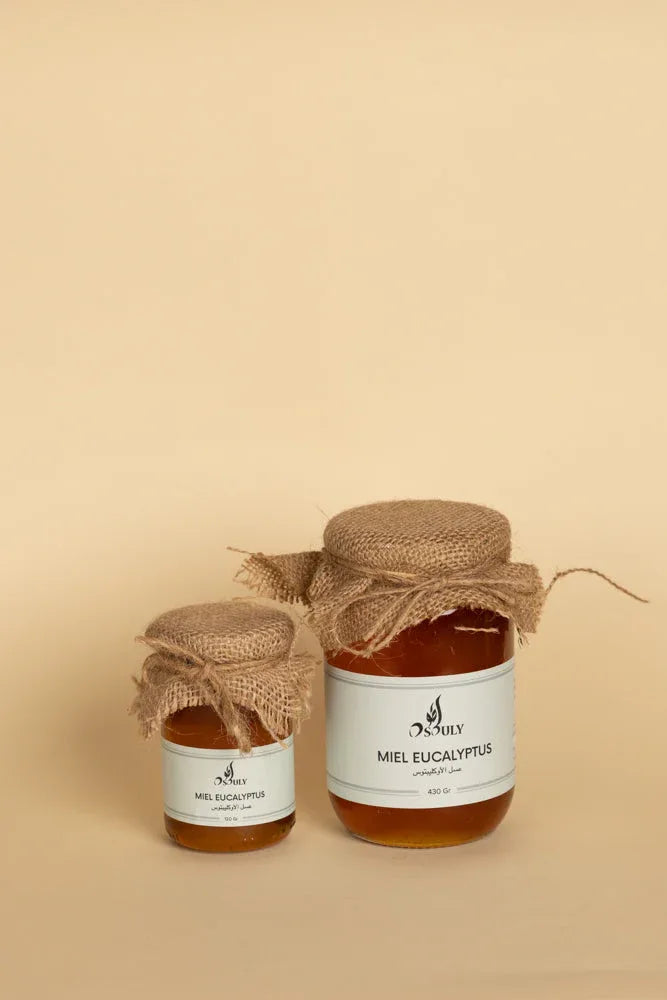 MIEL EUCALYPTUS 430g - Justyol