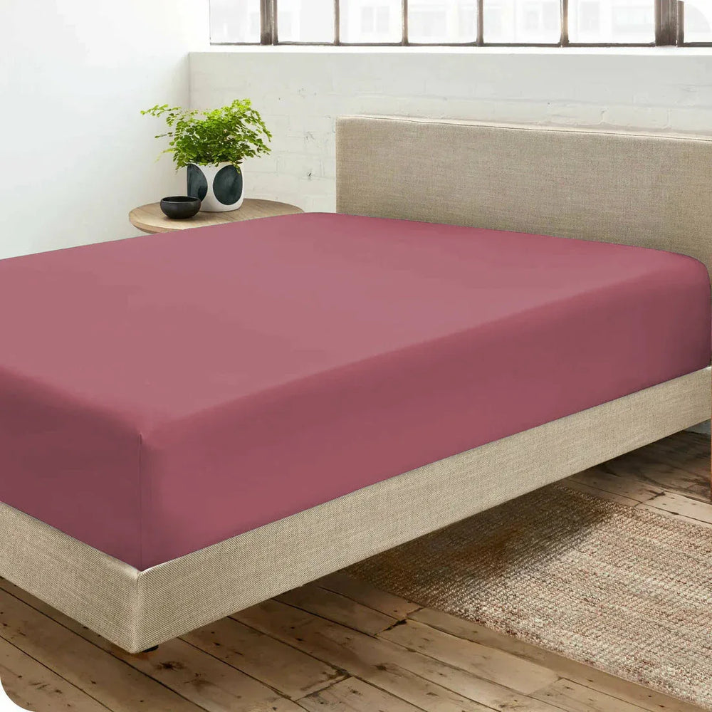 Drap housse Percale 100 % coton Premium
