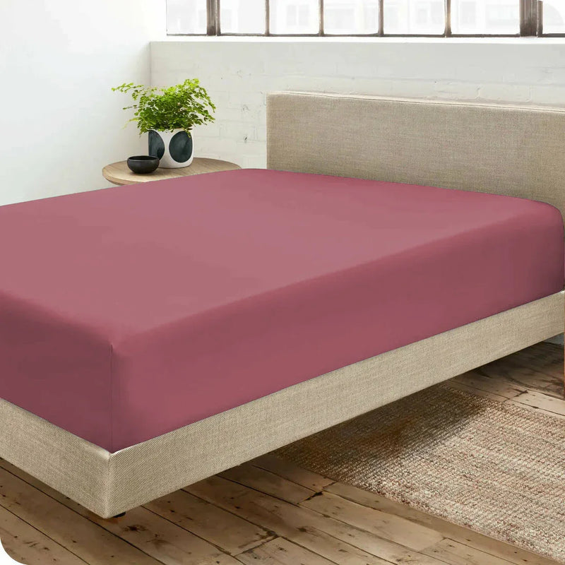 Drap housse Percale 100 % coton Premium