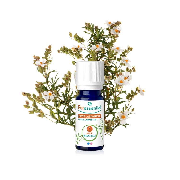 PURESS HE CISTE LADANIFERE 5ML 3185/4685